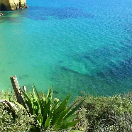 Miramare Miramonte *